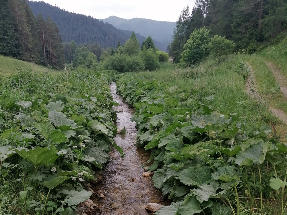 Vyporiadanie spoluvlastníctva